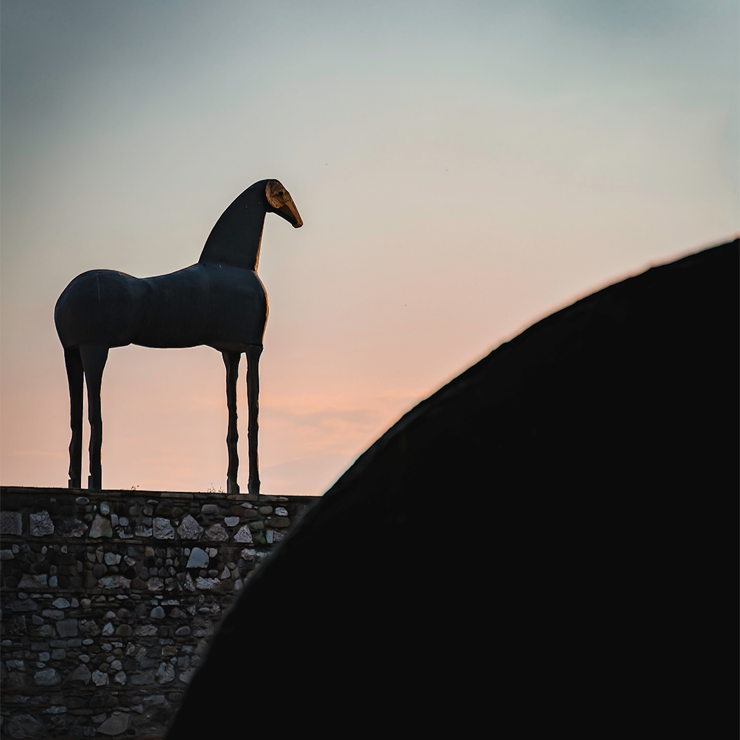 Foto del cavallo senza orecchie e coda
